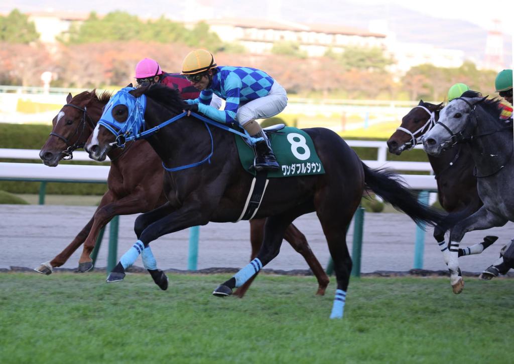 每日賽馬晚報(2020年11月28日),服用可卡因豈只莫艾誠,岳伯仁兩駒不意外退出國際賽