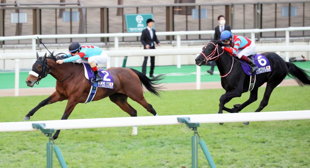 日本盃，杏目以勝利結束競賽旅程
