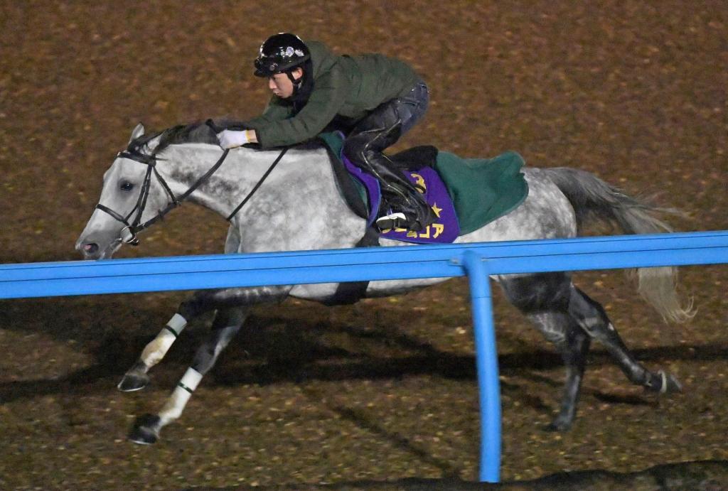 每日賽馬晚報（2020年12月3日），英格蘭馬迷可以進場觀賽，田泰安不滿失去錶之智能座騎