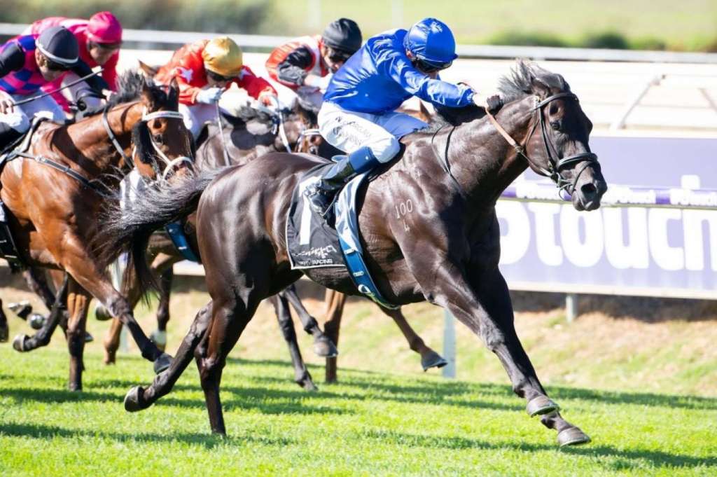 每日賽馬晚報（2020年12月5日），香港國際賽事入場不可能，胡森2021年重新練馬