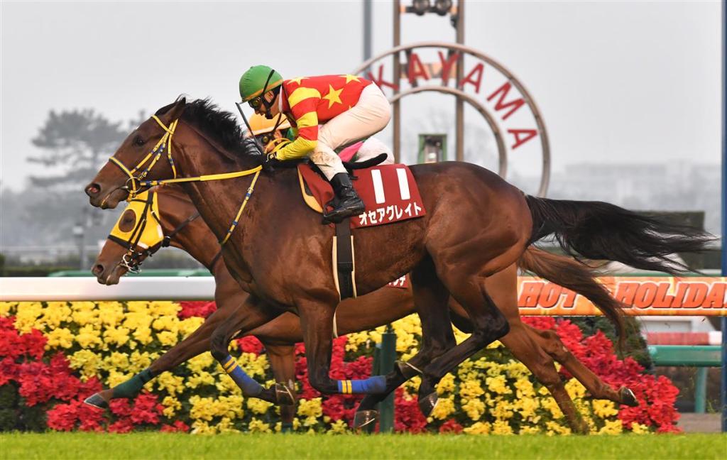 長途馬錦標，Ocea Great唯一殺著得手