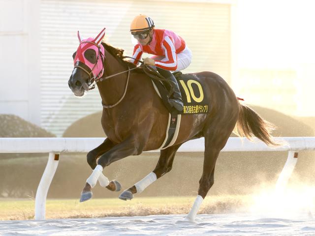 每日賽馬晚報(2020年12月10日),蘇銘倫復出再要等,有馬紀念賽投票大逆轉