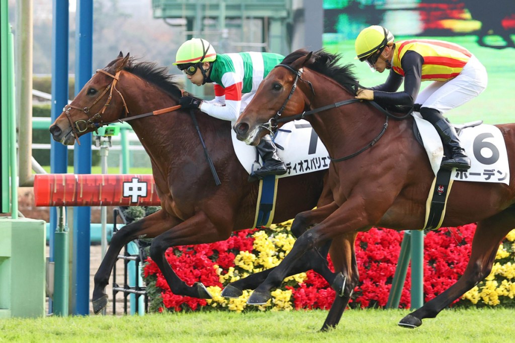 每日賽馬晚報（2020年12月14日），週日一合併版，Te Akau Racing有意將賽馬版圖延至澳洲，比利時龍贏大都會錦標熱身賽