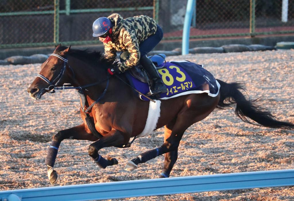 每日賽馬晚報(2020年12月23日),謀勇兼備來年金鯱賞見,苗康文被吊銷牌照五個月