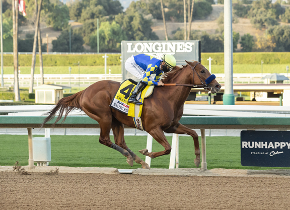 歐美馬強攻沙地盃大決戰，其他勢力能否突圍（已更新）