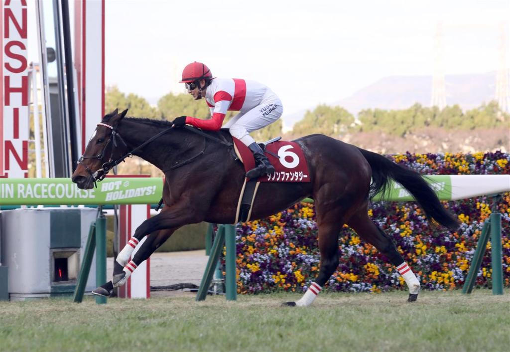 阪神盃，野田幻想大復活贏馬