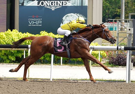 每日賽馬晚報（2020年12月28日），兩騎師掛靴前取下勝利