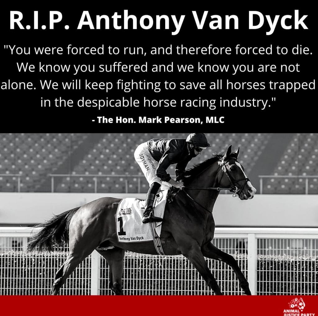 2020國際馬壇大事回顧，「平等篇」「保護篇」，要打一場新的戰爭嗎？