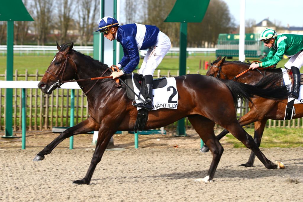 香港四歲馬系列賽新風雲，包裝永旺能否帶來另一波攻勢？