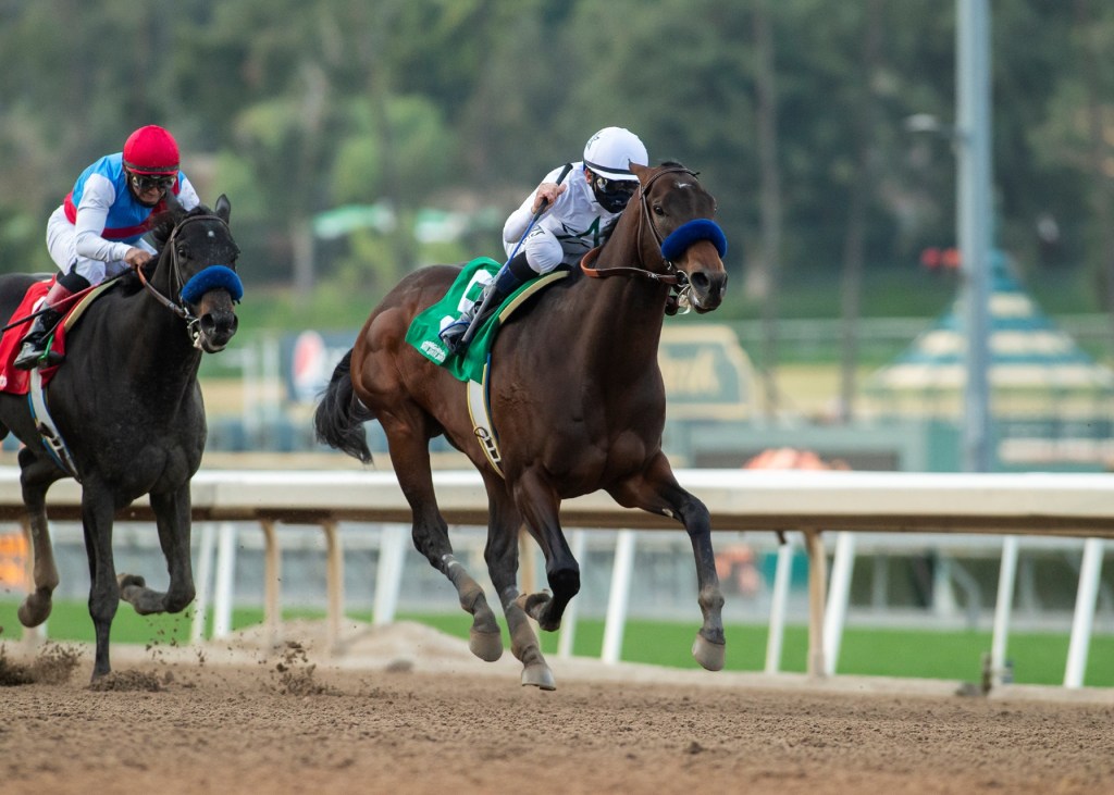 每日賽馬晚報（2021年1月3日），Sodashi直指櫻花賞，巴富達三歲馬已在錦標賽蠢蠢欲動