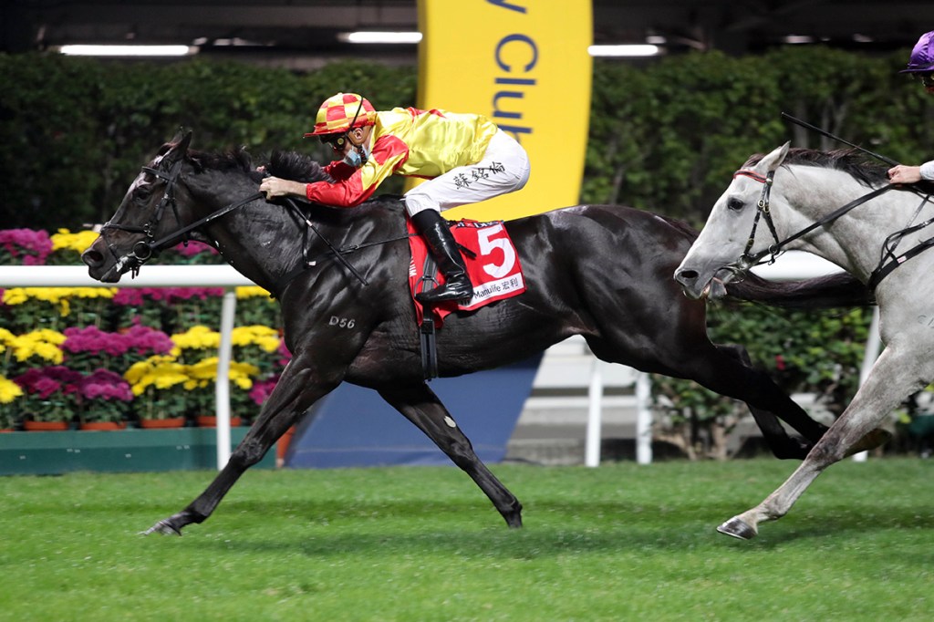 一月盃，玖寶在分級賽初嚐香港勝仗