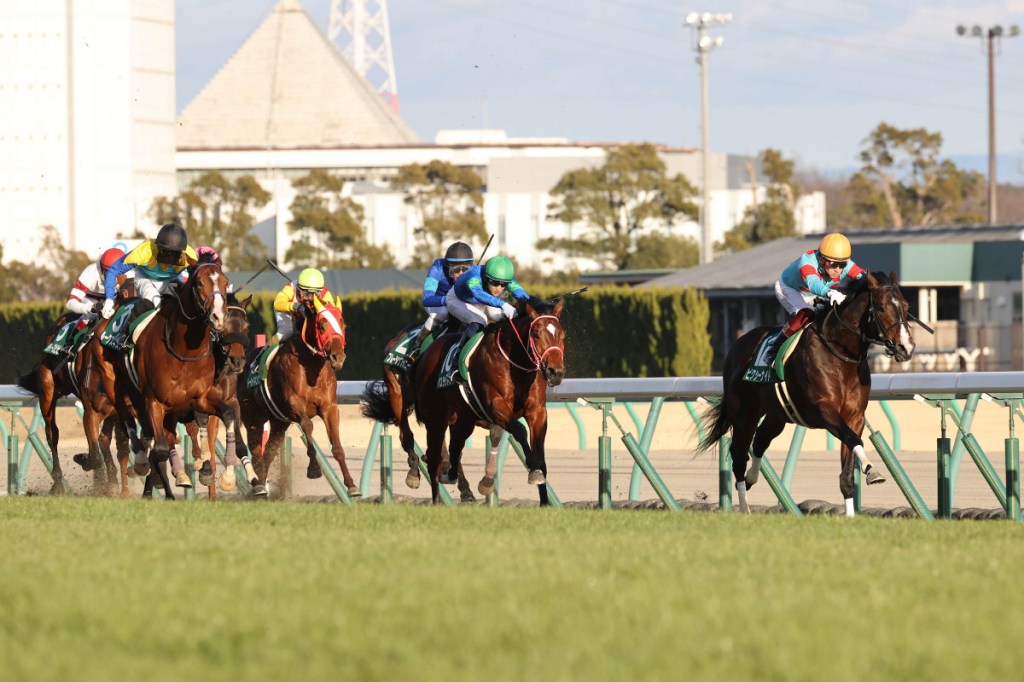 新山紀念賽，Pixie Knight稍稍增程也沒問題