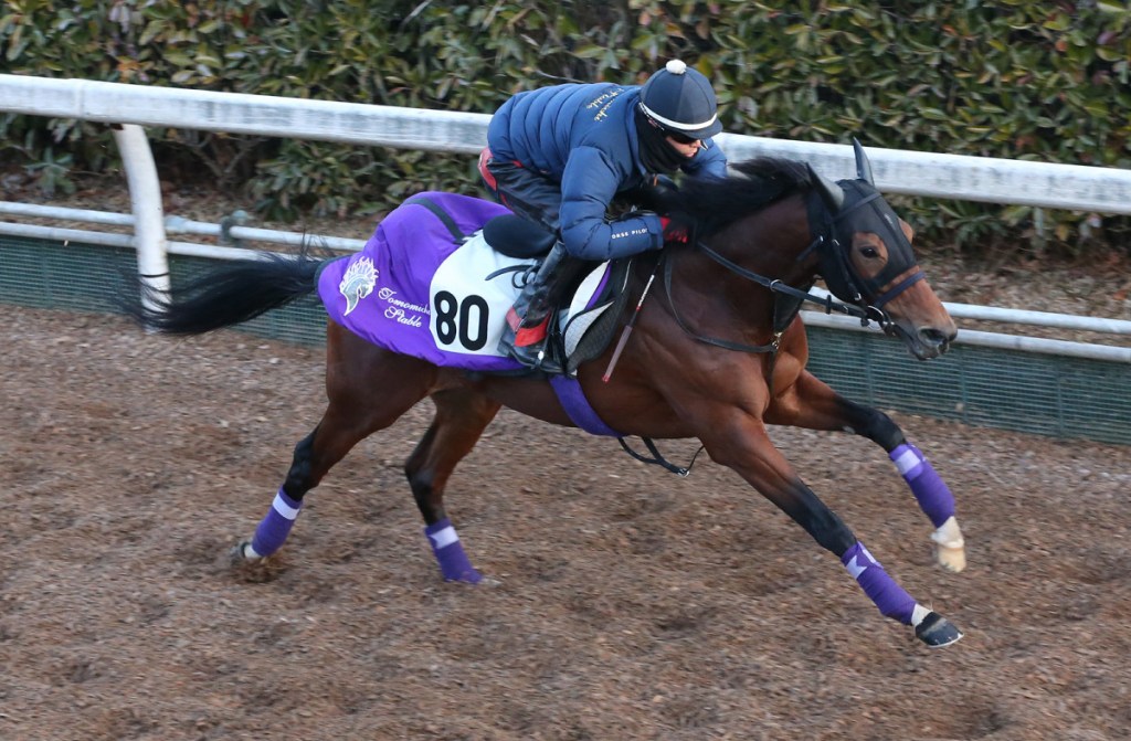 每日賽馬晚報（2021年1月13日），雷神敲定經典一哩賽座騎，短途快馬Sabuno Junior成地方馬王