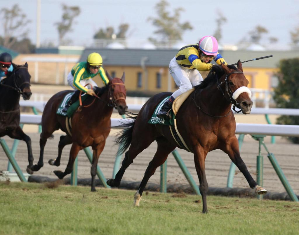 每日賽馬晚報（2021年1月16日），Channel Maker征戰中東草地賽，魔法城堡愛知盃取下第二勝