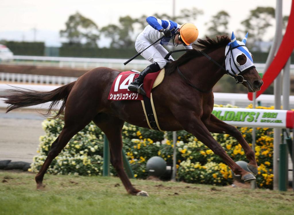 日經新春盃，邁步前行昇龍前進