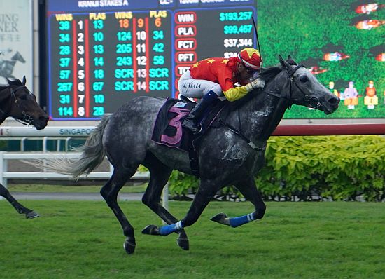 每日賽馬晚報（2021年1月23日），高多芬忠實名駒Slickly離世，馬雅星州送行戰有馬贏