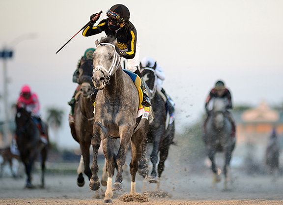 飛馬世界盃，「韓國馬」Knicks Go可以殺進世界