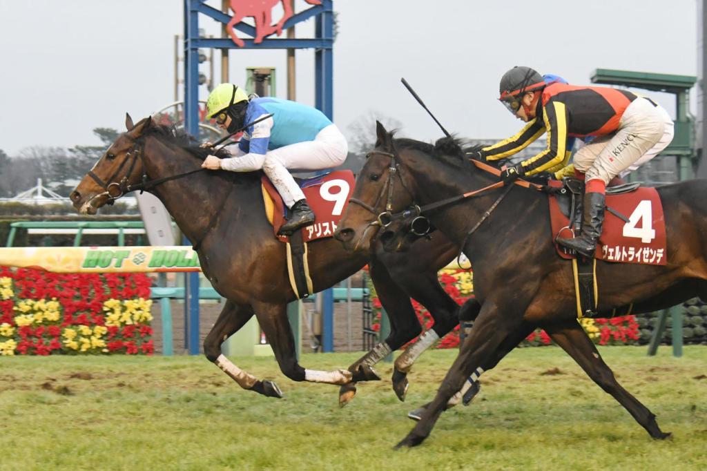 對大哲學家縮程是良方妙藥？寶塚紀念賽有答案