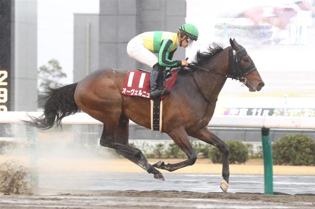 東海錦標，Auvergne表列賽連勝後再贏分級賽