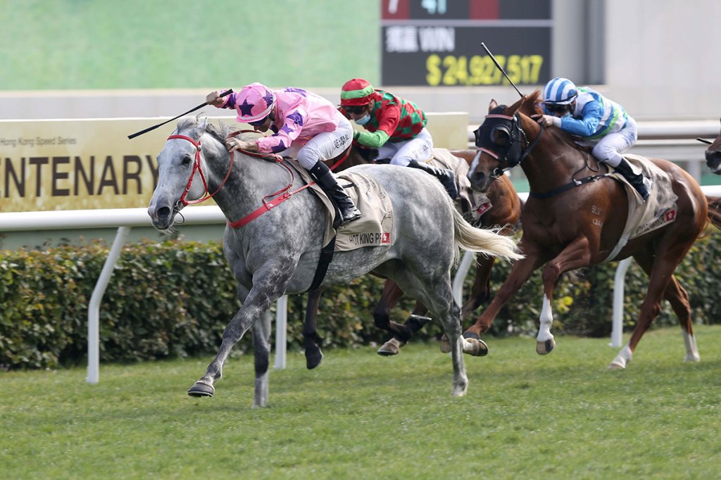 每日賽馬晚報（2022年5月26日），星州騎師S約翰吊銷牌照一年，驚世詩才本週復出