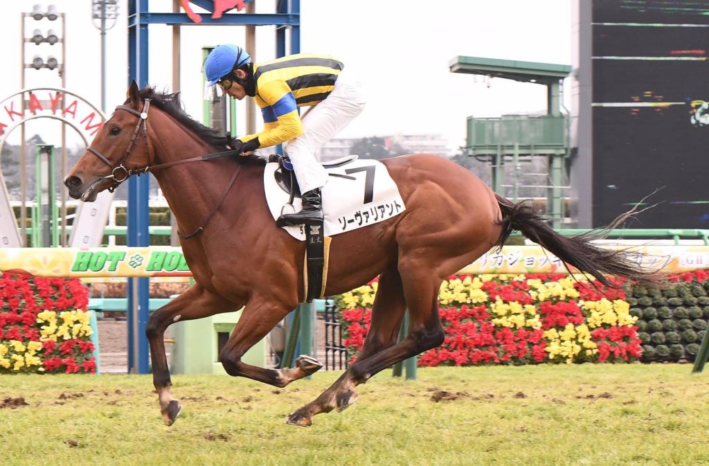 每日賽馬晚報（2021年1月24日），卡拉卡拍賣會首天報導，山茶花不增肥下照贏