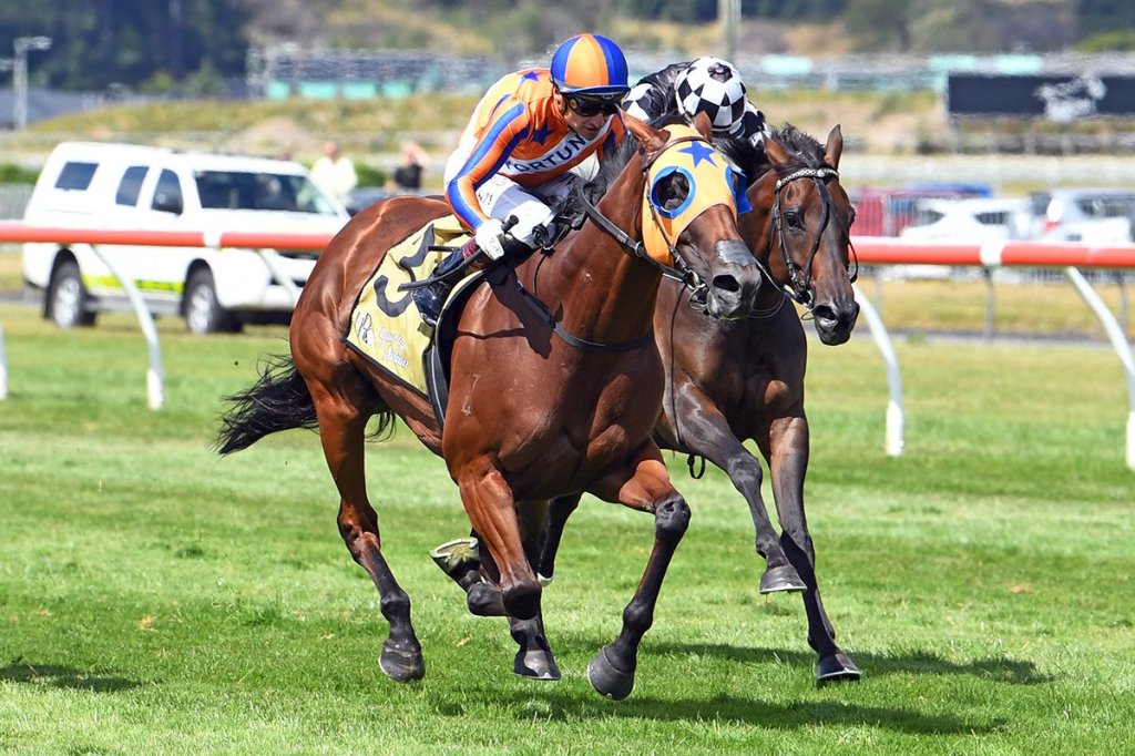 每日賽馬晚報（2021年2月9日），紐西蘭明星馬旋律美人退出明星一哩賽，兩位女將三月在日本中央競馬場出道