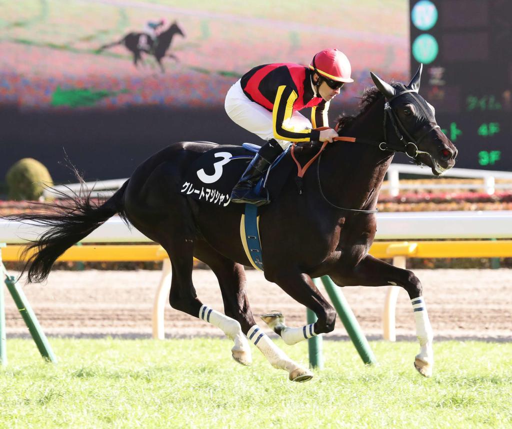 每日賽馬晚報（2021年1月31日），易健寧巴林大賽大三元，氣自豪全妹初出即勝