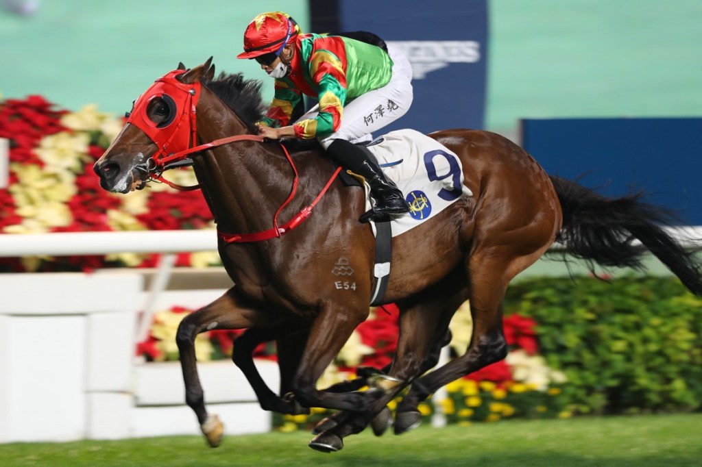 香港四歲馬系列賽新風雲，飛輪閃耀絕不是一條慢魚