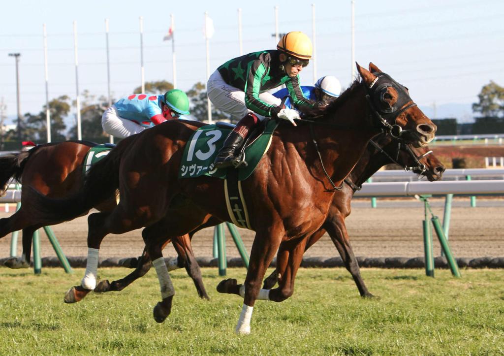 絲路錦標,喜雅王表現穩定終於贏回一場