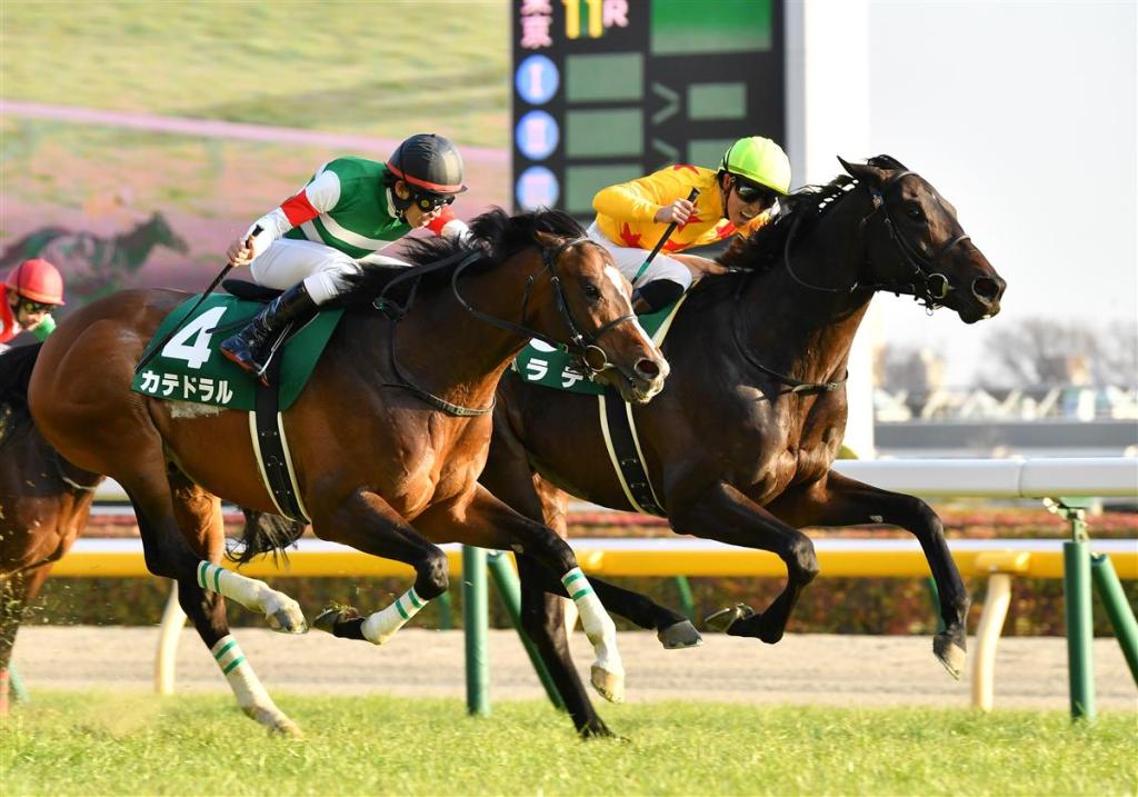 安田紀念賽黑馬份子，空手道有權劈空一切