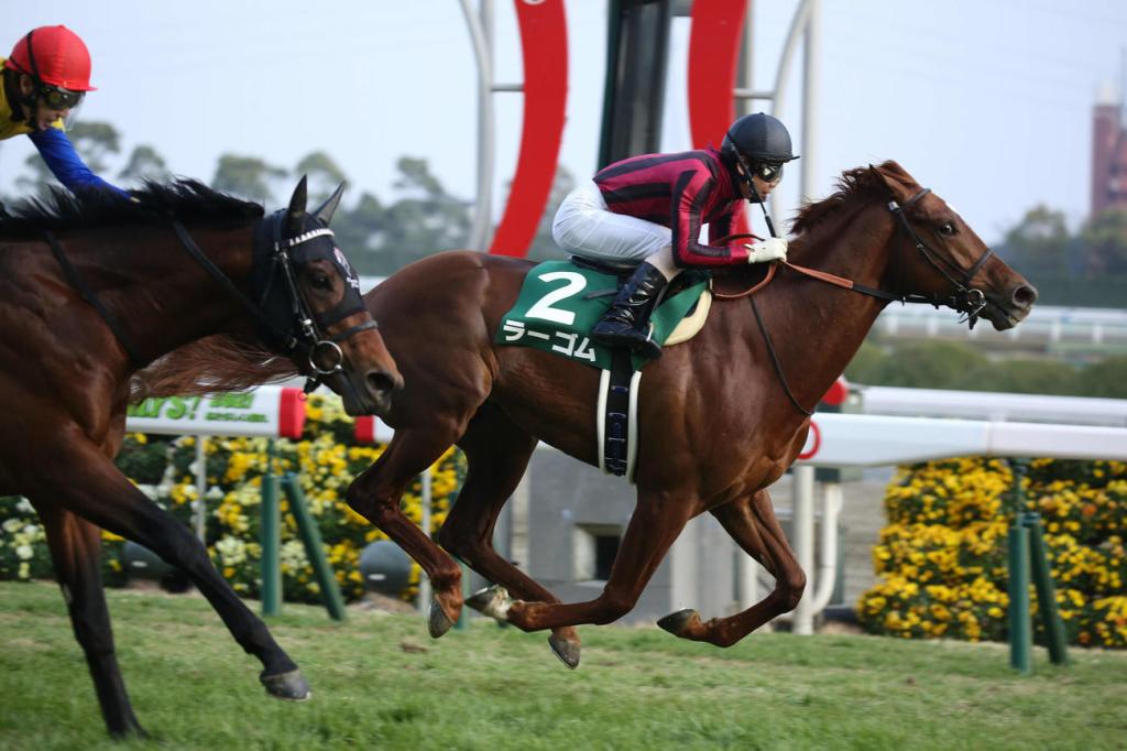 如月賞，Lagom先走Yoho Lake一步