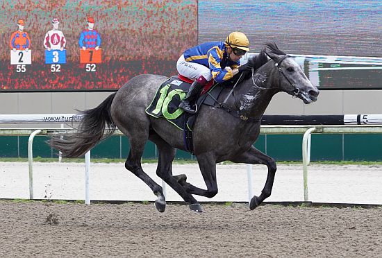 每日賽馬晚報（2021年2月11日），育馬者盃規定引進賽全面禁藥