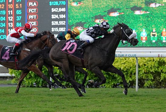 2021年5月22日克蘭芝一哩賽賽日各場推介(部份僅提供三駒)