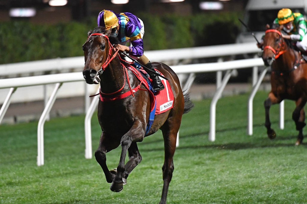 每日賽馬晚報（2021年2月18日），不能用Facebook看澳洲賽馬資訊，沙地盃賽日詳盡報導賽事確定！