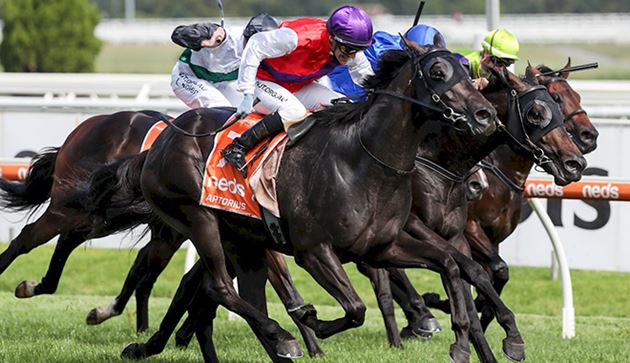 不為獎金，為澳洲馬開出新血路雅騰雲