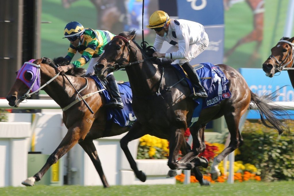 香港金盃，金鎗六十圖挑戰稱霸三冠