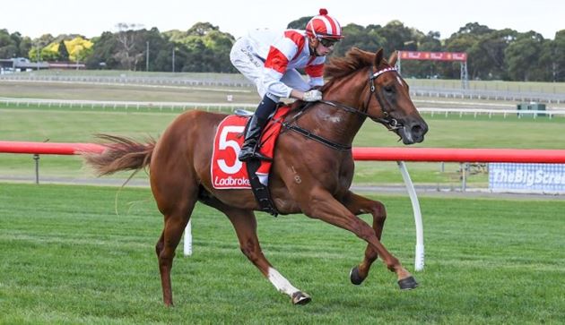 川河系大軍澳洲大舉進攻兩歲馬系列賽