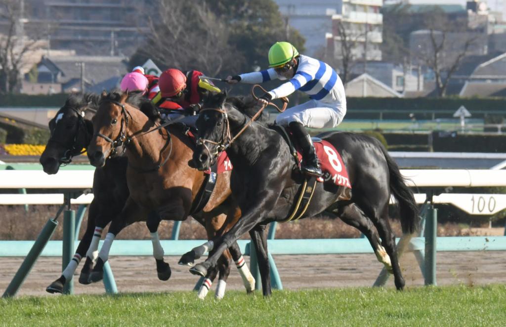 中山紀念賽變金盃對決,由Hishi Iguazu勝出。蛯名正義掛靴日起孖