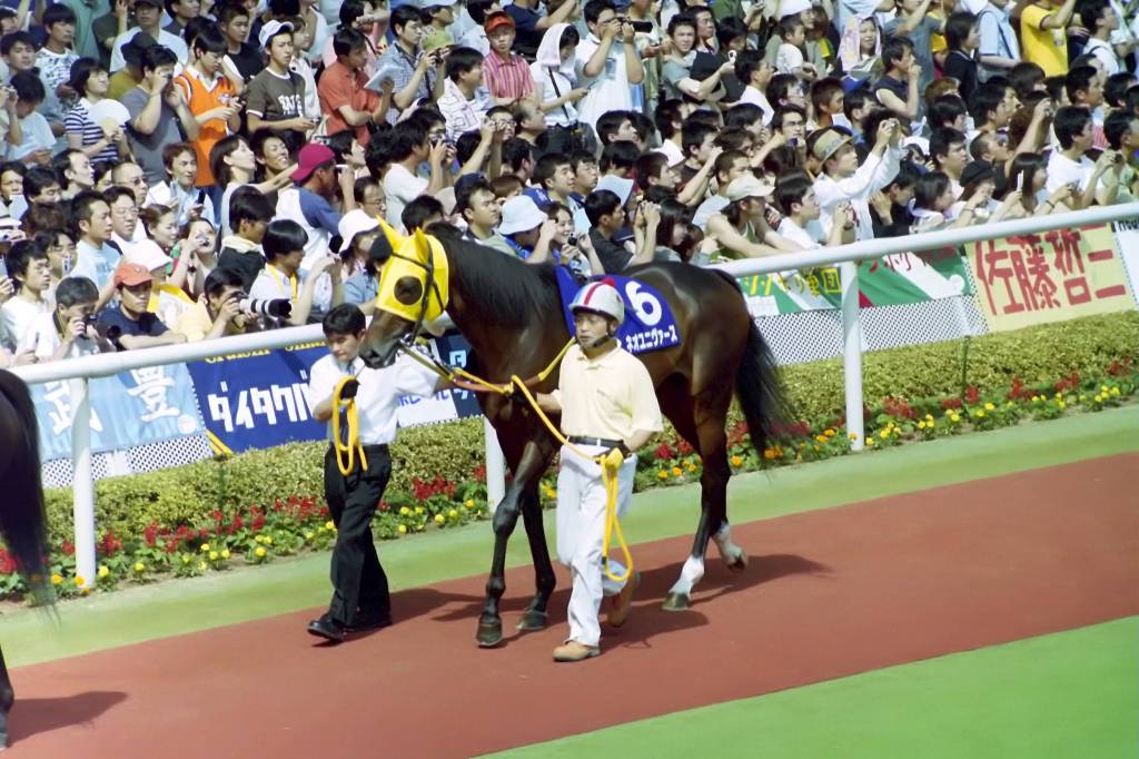 三冠挑戰馬新宇宙離世