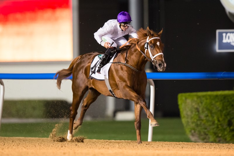 2021年3月6日杜拜超級星期六各場精選