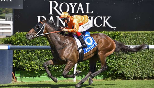 澤布斯基來港遲到好過不到