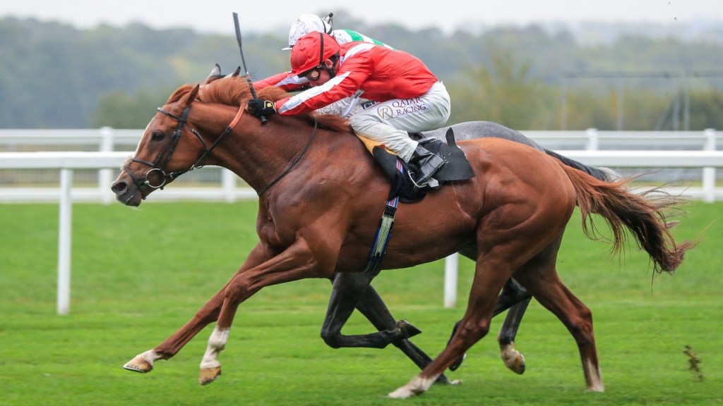 蔡明紹的識價盃的座騎