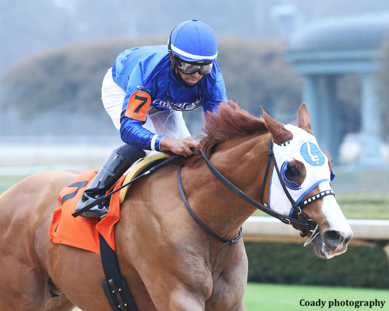 閃耀杜拜世界盃賽馬日，高多芬可靠秘謎嚮導 真的可以橫掃？