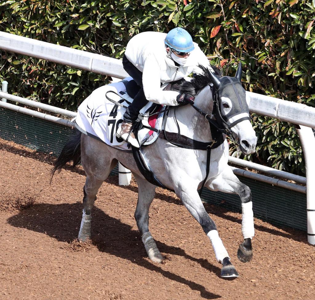 良血結晶機伶夢重賞爭勝機