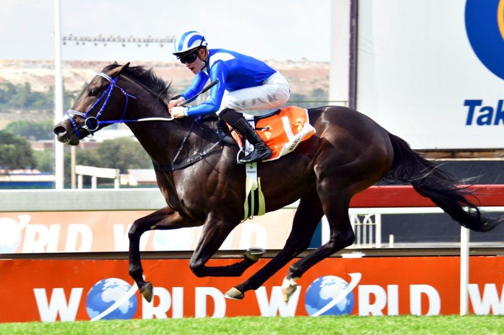 每日賽馬晚報（2021年3月8日），龍子爵或退出明星一哩賽，Malmoos南非三冠聽牌