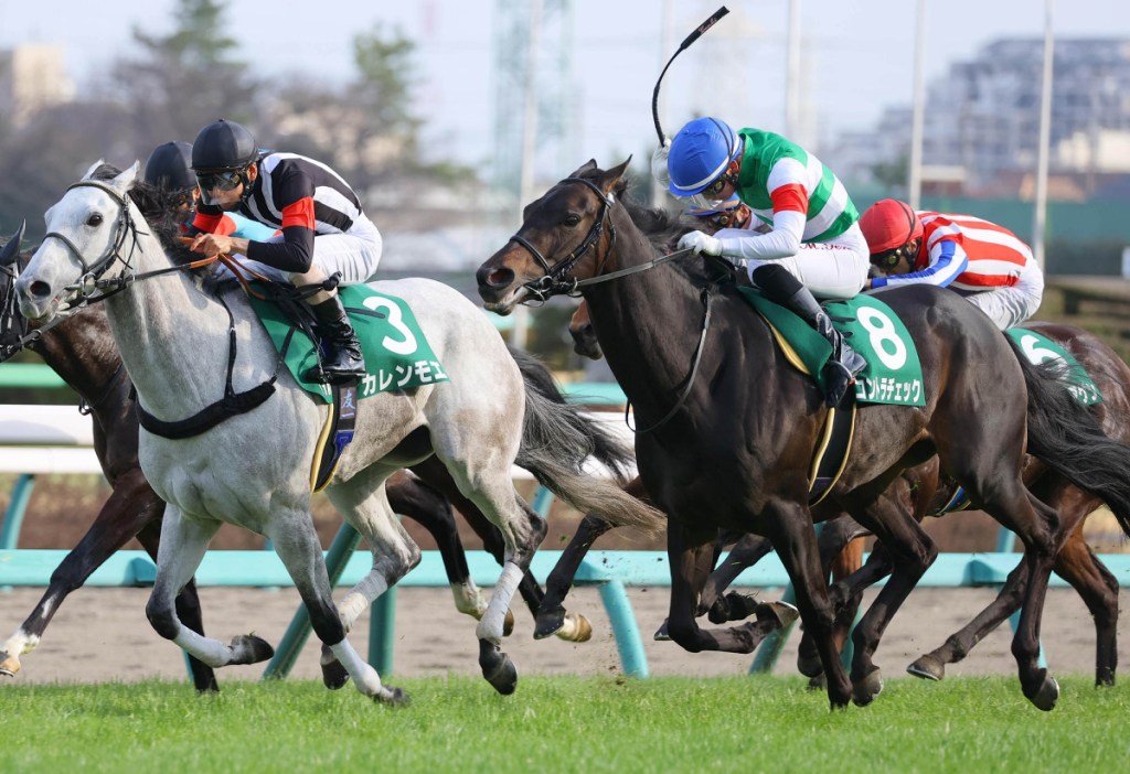 海洋錦標，反身舞步破機伶夢勝機