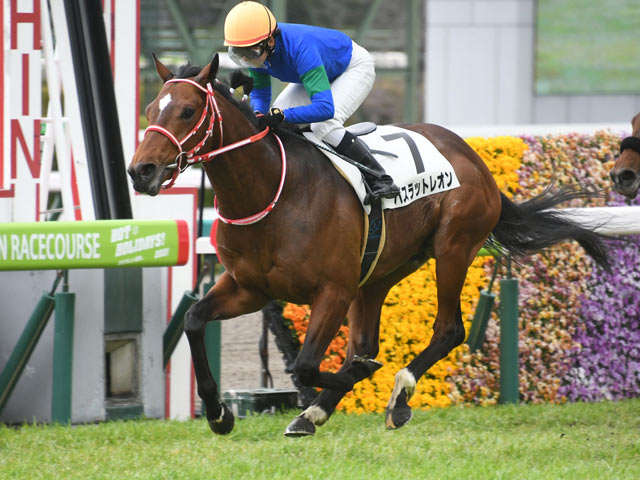每日賽馬晚報（2021年3月13日），古川奈穗騎超級馬輕鬆初勝，紐西蘭贏一級賽還先得問過Te Akau