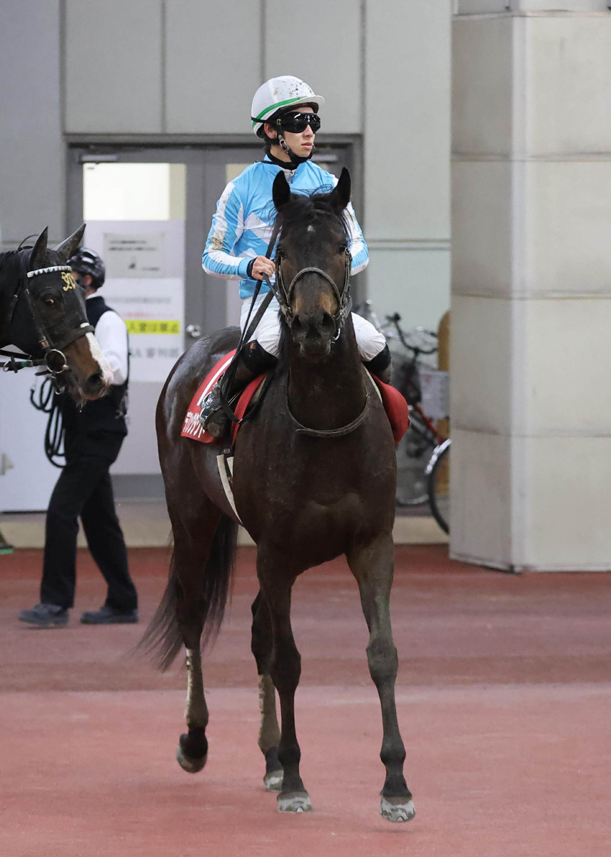 謀勇兼備邁向復出之路