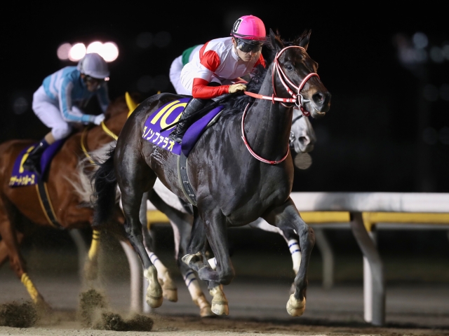 每日賽馬晚報（2021年3月17日），大衛希斯另一名兒子與比安希斯合作，卓定咸賽馬節展開，Shishkin將成新怪物