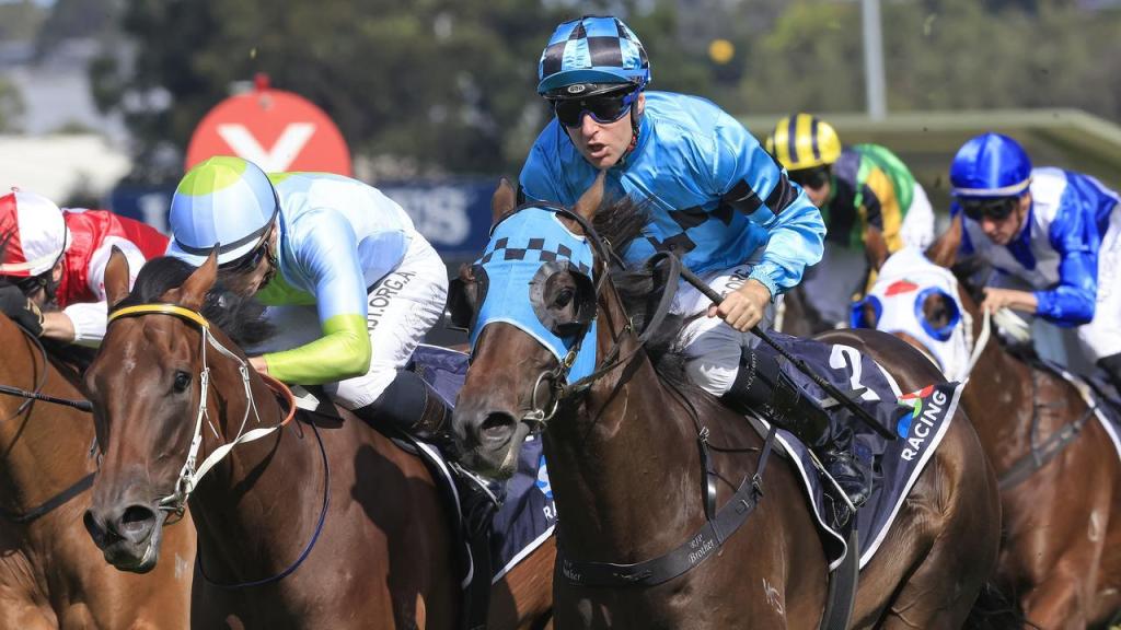 馮氏家族省靚招牌大展拳腳之至寶